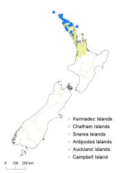 Todea barbara distribution map based on databased records at AK, CHR and WELT.
 Image: K. Boardman © Landcare Research 2014 